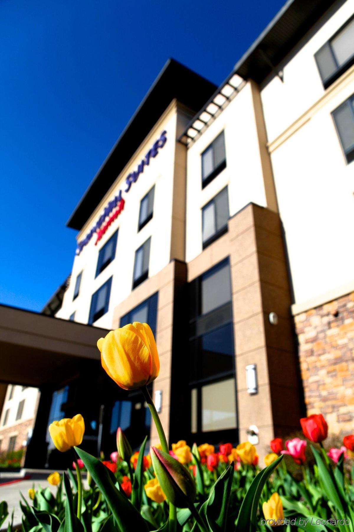 Springhill Suites By Marriott Logan Esterno foto